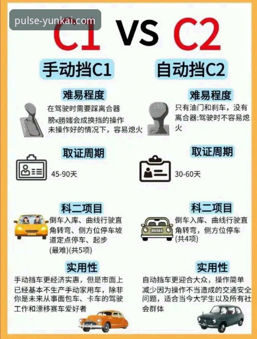 揭秘云开体育苹果下载背后的真相：新手必看的全流程指南