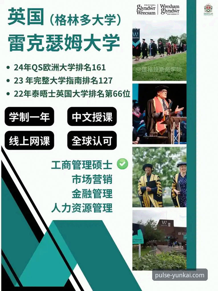 云开体育平台最新版本官方下载全流程深度分析：从安装到实战的完整指南